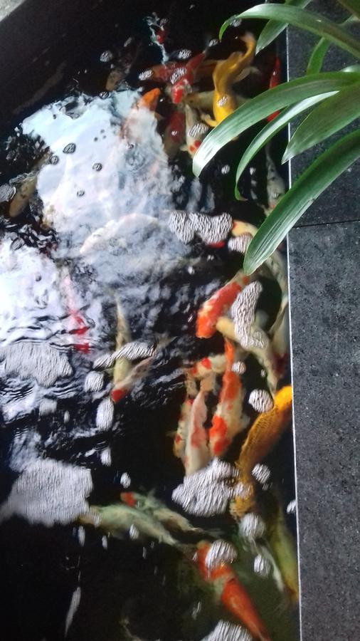 Hotel Khach San Hiep Yen Tuy Hoa Exteriér fotografie